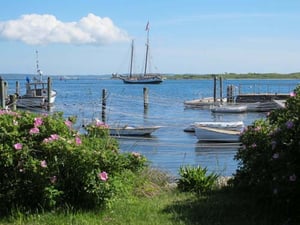 Great Harbor - Woods Hole