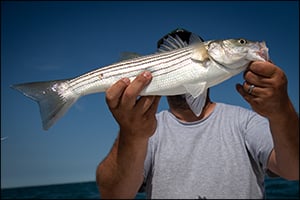 Sportfishing Yacht