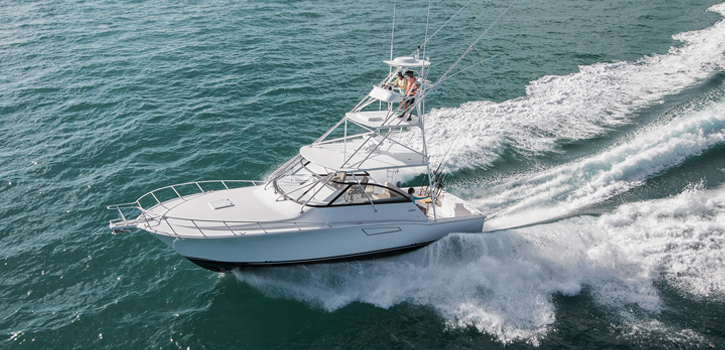 cabo sport fishing yachts